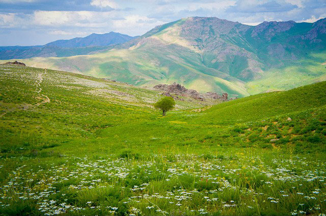بهترین هتل دزج